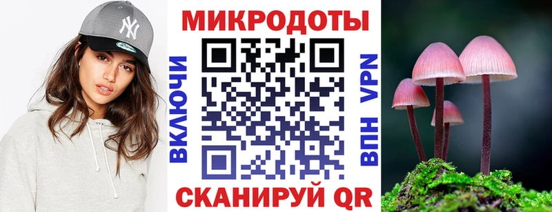Купить  Ахтубинск  Галлюциногенные грибы Psilocybe 