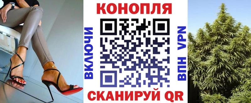 Купить закладки  Ахтубинск  Шишки марихуана сатива 